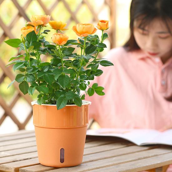 Plant Pot Eye-catching Heat Resistant Plastic Automatic Water Absorption Plant Pot with Cotton Ropes for Home