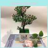 Simulated Peach Blossom Branch Plant Ornament With Plastic Craft For Photography And Home