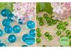6-30MM Transparent Earth 96-Facet Acrylic Beads for Door Curtains & DIY Bracelets