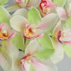 Yousheng 6Pcs Simulated Cymbidium Bouquet Real Touch Artificial Flowers No Withering Fading Vibrant Color Fake Flower