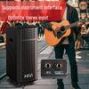 HiVi Portable Outdoor Bluetooth PA Speaker with Dual Wireless Microphones CN Plug (adapter Included)