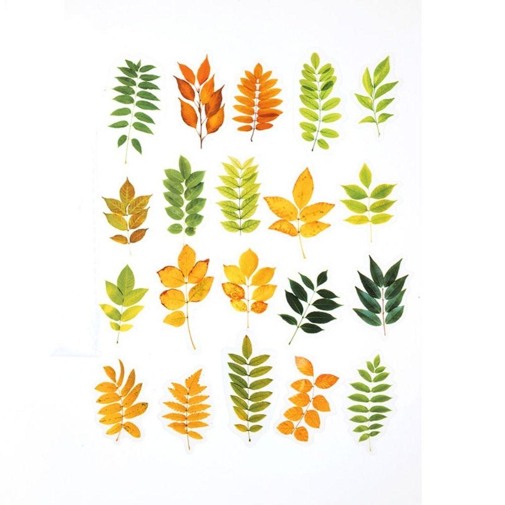 40PCS Green Leaf Maple Leaves Leaf Stickers Plant PET Scrapbook Stickers Nature Diary Stickers Album Journal Turtle Leaf Sticker