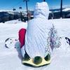 Schildkrötenform Hüftschutzkissen Knieschoner Set für Erwachsene und Kinder Winter Outdoor Skifahren Skaten Ausrüstung