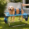 Foldable Pet Grooming Table Secure Strap Breathable Hanging Harness with Eight Holes for Picking Ears Nail Clipping Home