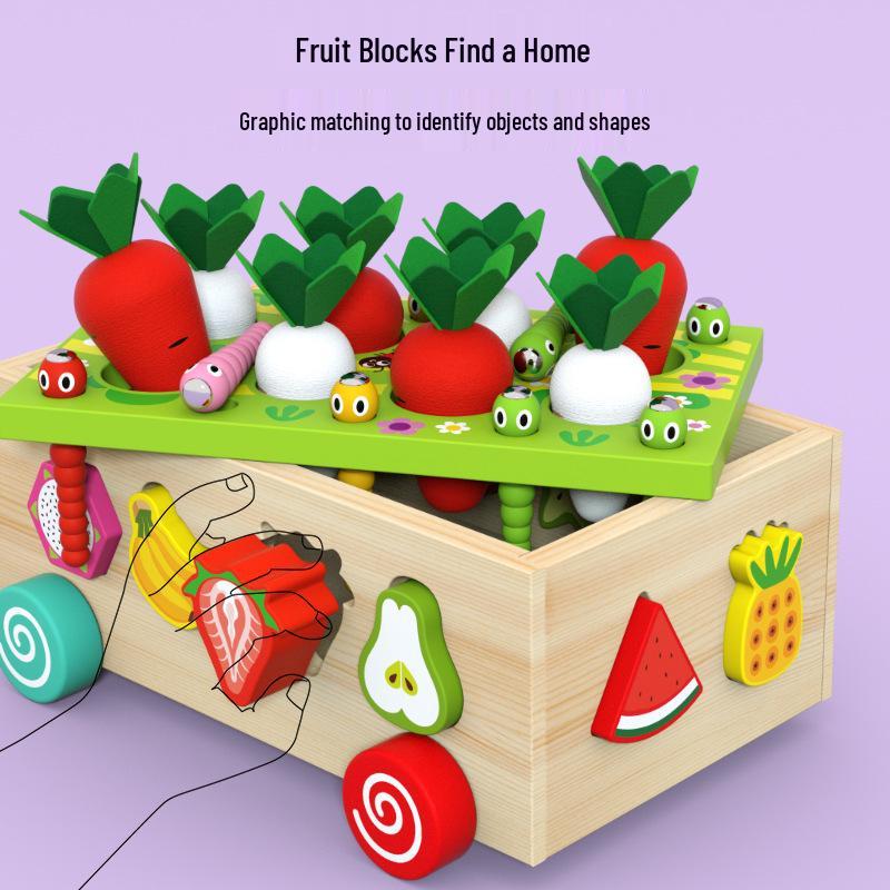 Educational Orchard Farm Blocks: Insect Matching & Radish Pulling Toys for Kids