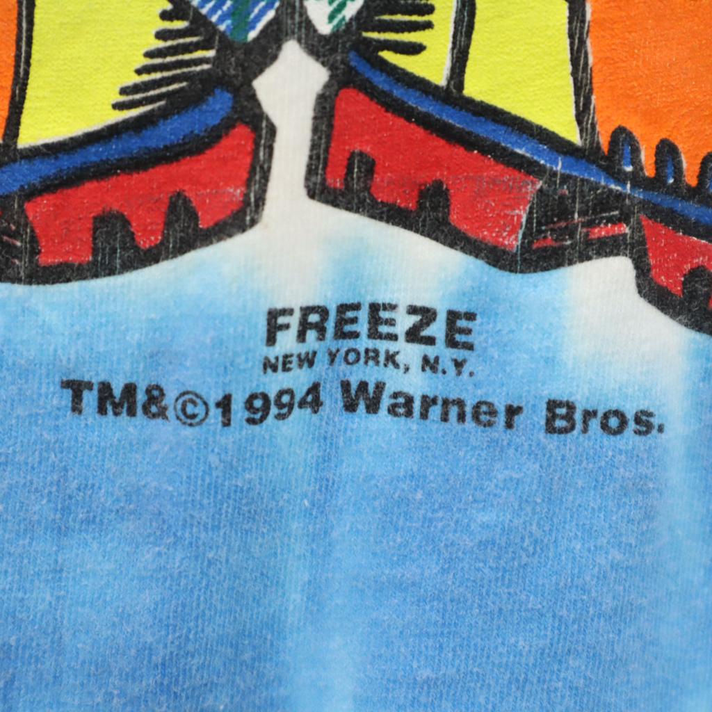 TULTEX 00s Old Looney Tunes Tweety Short sleeve T-shirt L blue Tie-dye Men's Used