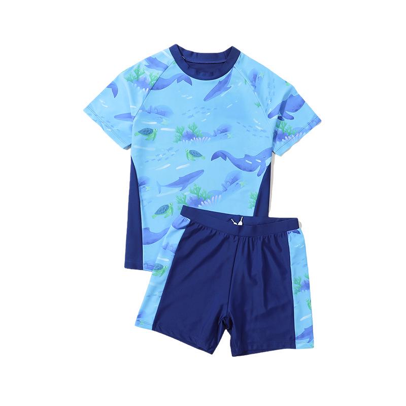 2025 Boys' Summer Swimsuit Set: Stylish Split Swimwear & Trunks for Teens and Kids