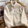 Giacca alla Moda in Peluche di Agnello da Donna Autunno Inverno Tasca Cerniera Manica Lunga Larga Collo Alto Comfort Calda Giacca da Donna