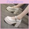 Mary Jane Boty Pro Ženy Retro PU Silný Podpatek Platforma Ležérní Jaro