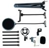 ARTRIG MAS-2 Microphone Arm Set, 70cm Arm Length [For Audio Recording, Video Streaming, Video Shooting, and Web Conferencing]