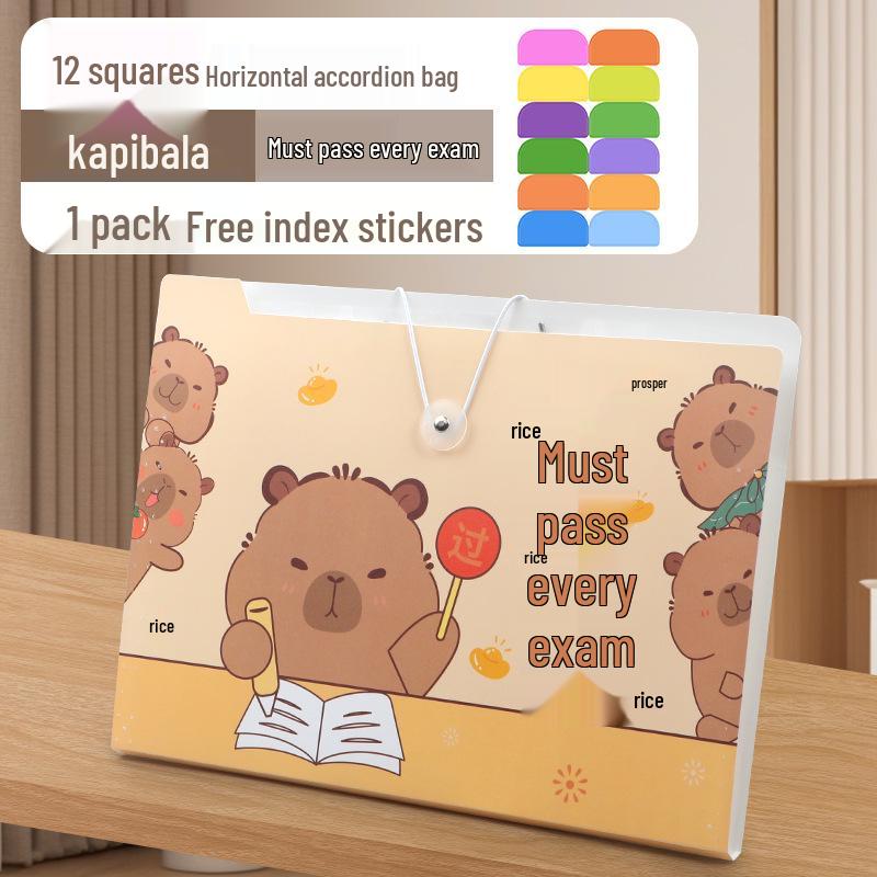 Accordion Bag 5250: Junior High Student Handheld Storage Folder