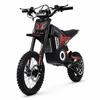 FreeBoy Y10 Elektrisk Crosscykel för Vuxna med 48V 30Ah Batteri