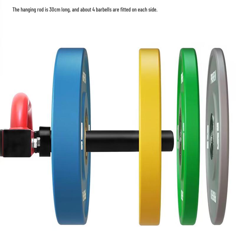 Chishang Hexagonal Barbell Rack & Olympic Shrug Bar