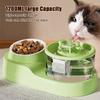 Large Capacity Cat Feeder and Water Dispenser Recirculate Filtering Cat Drinker  for Pet