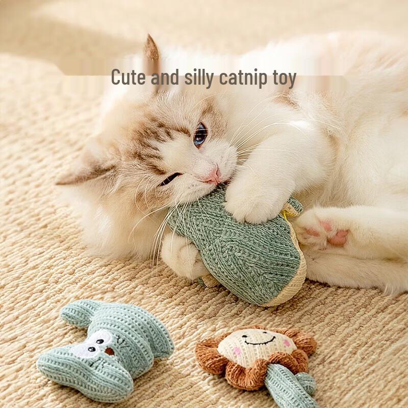 Yun Xiaoshi Catnip Mouse Cat Toys, 5-Pack