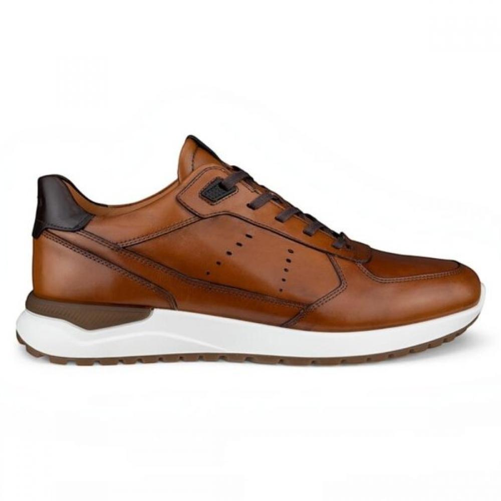 Eco Aster Neo 534924 61936