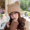 Women's Winter Hat with Cat Ears & Butterfly Brooch -Stretchy Foldable Beanie Soft Warm Ear Protection Hand Wash Only Winter Hat