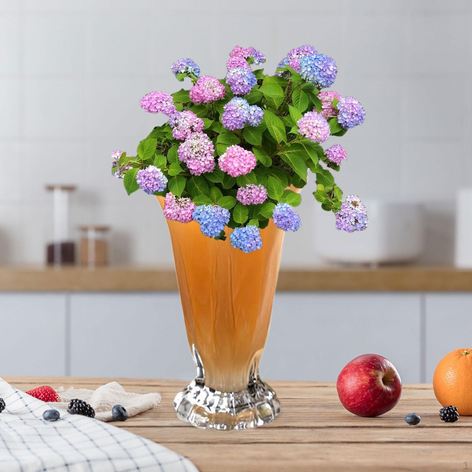 

Лепестки Стеклянная Ваза Декоративный Цветочный Горшок Простой Контейнер для Цветочной Композиции Современный для жёлтый