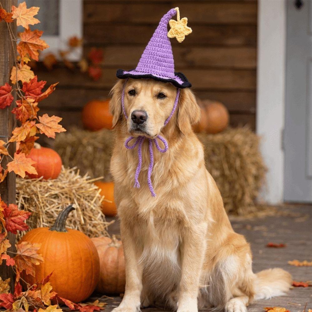 Breathable Pet Halloween Star Hats Soft Cat Witch Hat Halloween Dog Costume Photos Props