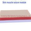 Surgical Suture & Injection Training Silicone Module