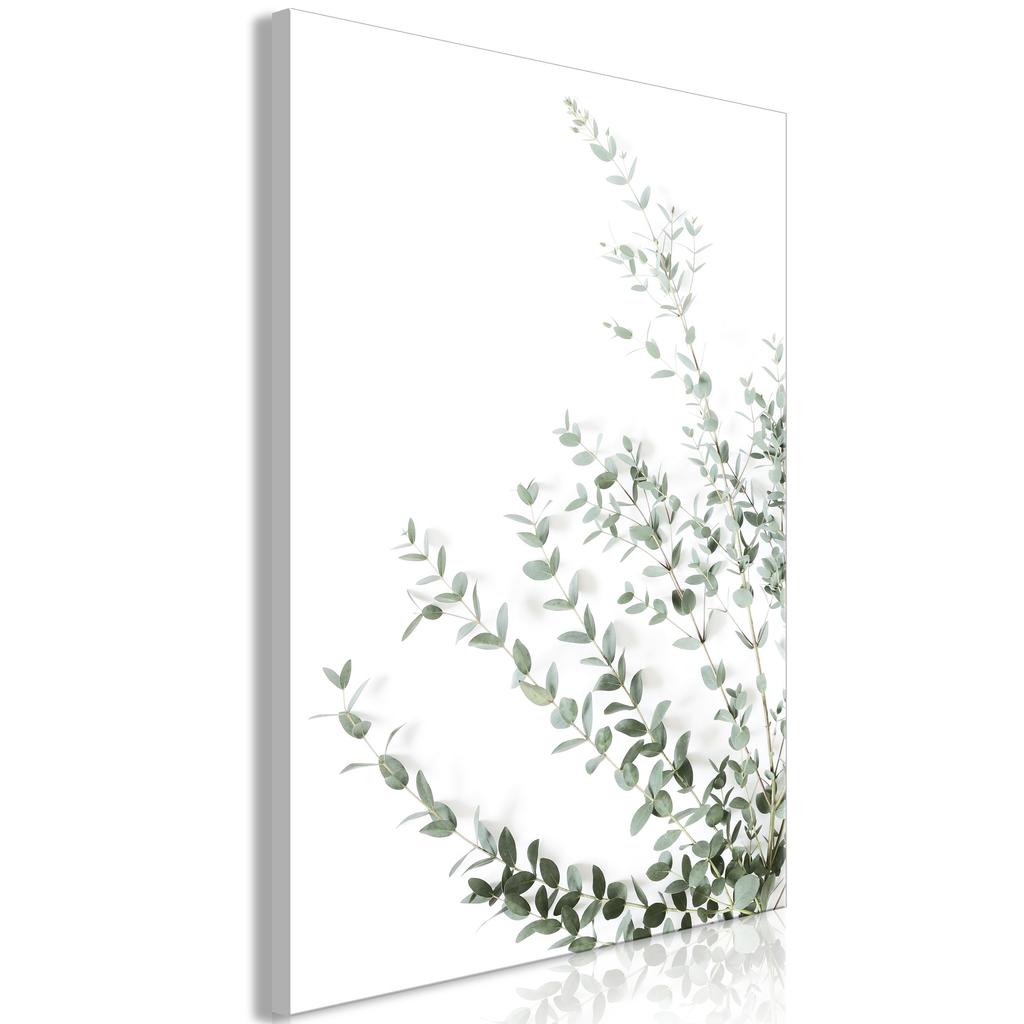 Obraz - Eukaliptus Parvifolia (1-Częściowy) Pionowy