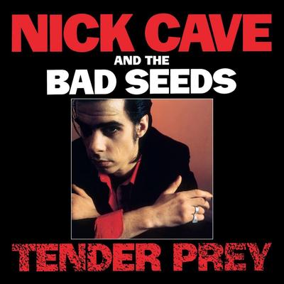 LP Record NICK CAVE  THE BAD SEEDS  Tender Prey LPSEEDS5 Mute 2014 Europe Rock