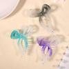 French Minimalist Frosted Gradient Shark Hair Clip - Jelly Color Hair Accessory for Women