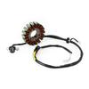 VIPIH Stator Coil Magnetic Generator Stator Stator Generator Stator Stator Applicable for Kawasaki KLX300R 97-1998 KLX250 KLX250SR 1993-1997
