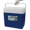 STEELMIGHT Cooler Box, Cooler Bag, Insulated Box, 30L, 452740.5cm, Ideal for Fishing, Outdoor Activities, Camping, and Disaster Preparedness