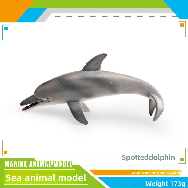 Ensemble de modèles en PVC d'animaux marins pour enfants avec des figures de cétacés réalistes pour le jeu éducatif