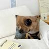 Cute Dog Funny Meme   Pillow Cushion Cover Pillowcase Living Room Sofa Home Decor Customized