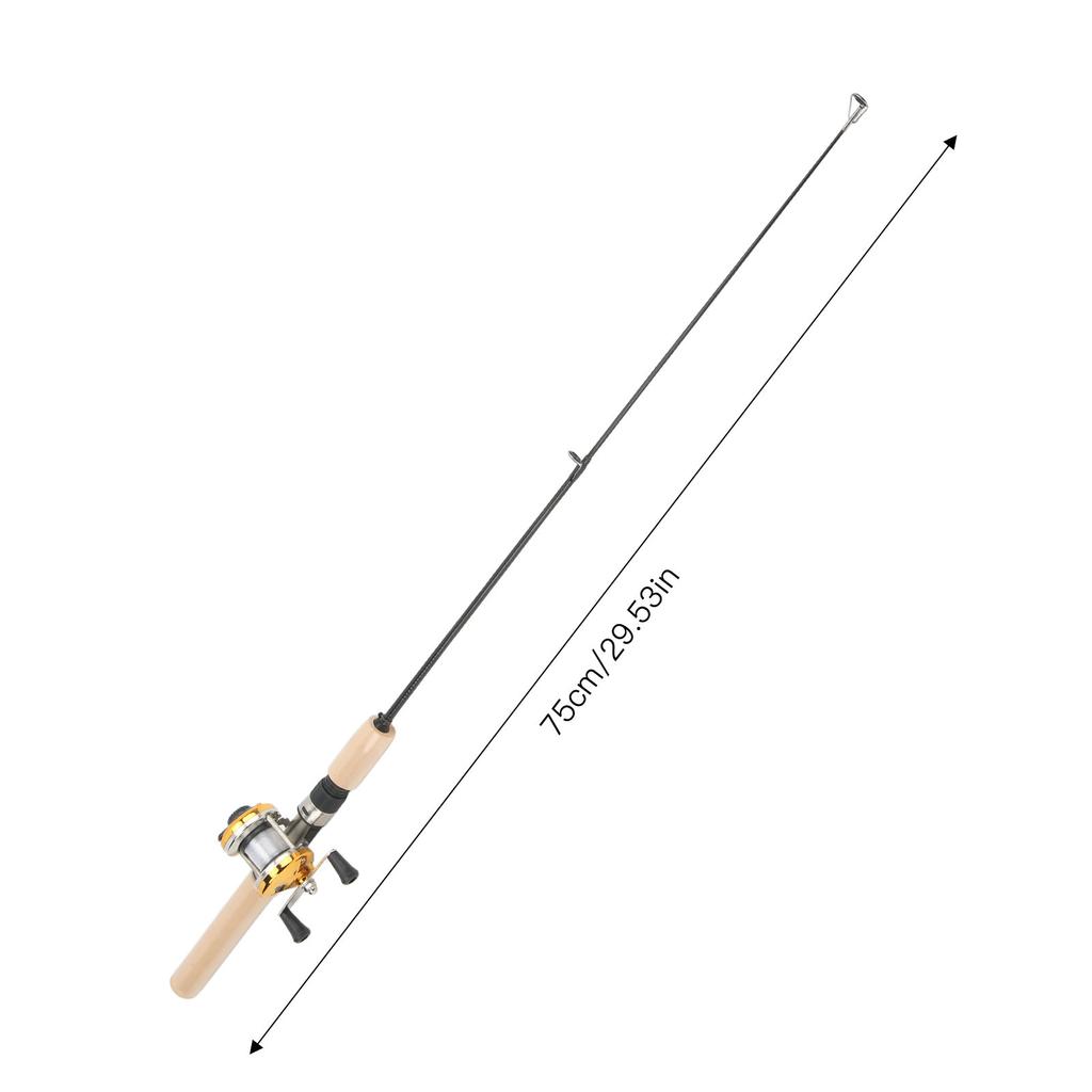 Ice Fishing Rod and Reel Combo Fishing Pole Kit with Jigs Bobber Ice Fishing Gear Set for Freshwater Saltwater