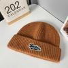 Woolen Hat Autumn and Winter New Style Label Letter Pullover Hat Men's Outdoor Warm Cold Hat Cold Protection Ear Protection Knitted Hat