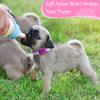 Auidy_6TXD 14pcs Puppy Collars for Litter Adjustable Whelping Puppy Collars Soft Nylon Id Collars for Small Dogs(Medium)