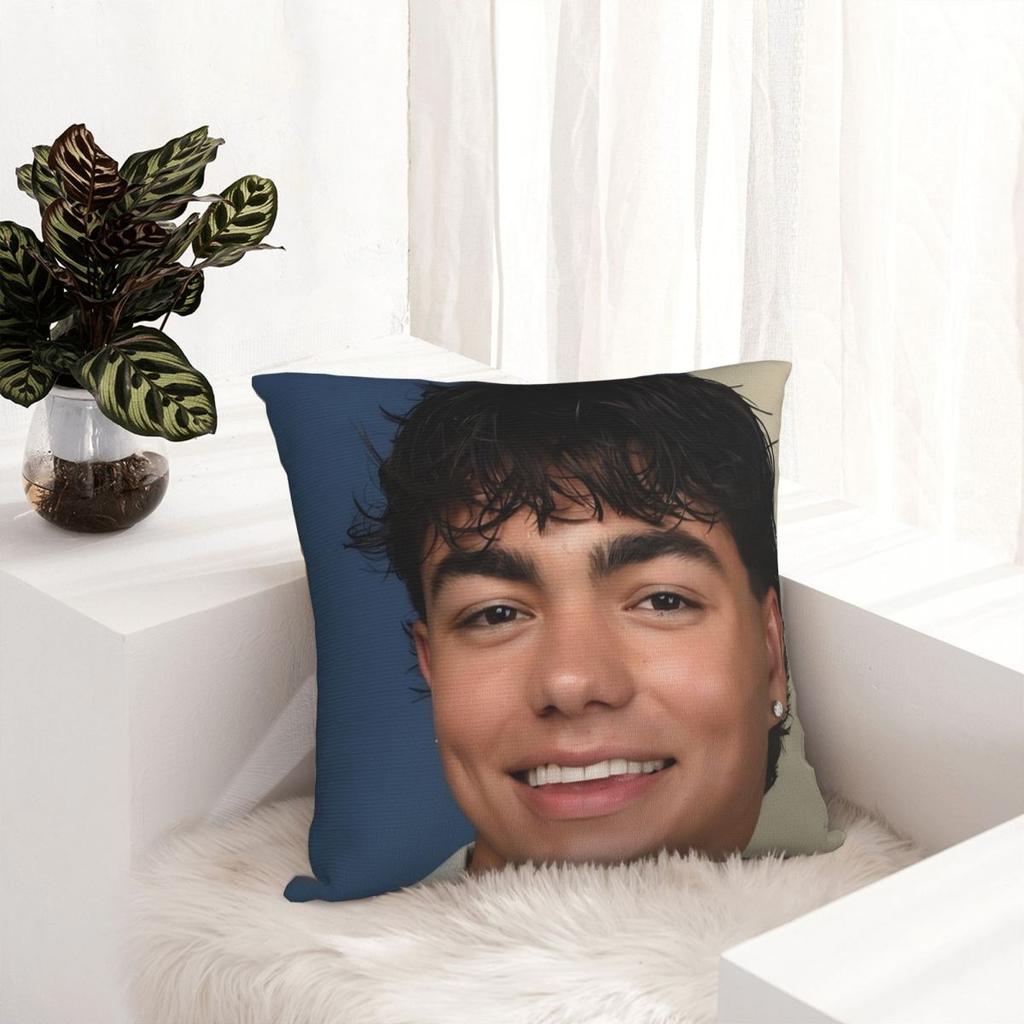 Malachi Barton-Bayingimg Pillow Cover Polyester Pillow Case Cushion Cover Retro Trendy Pillowcases For Sofa Bedroom Home Decor