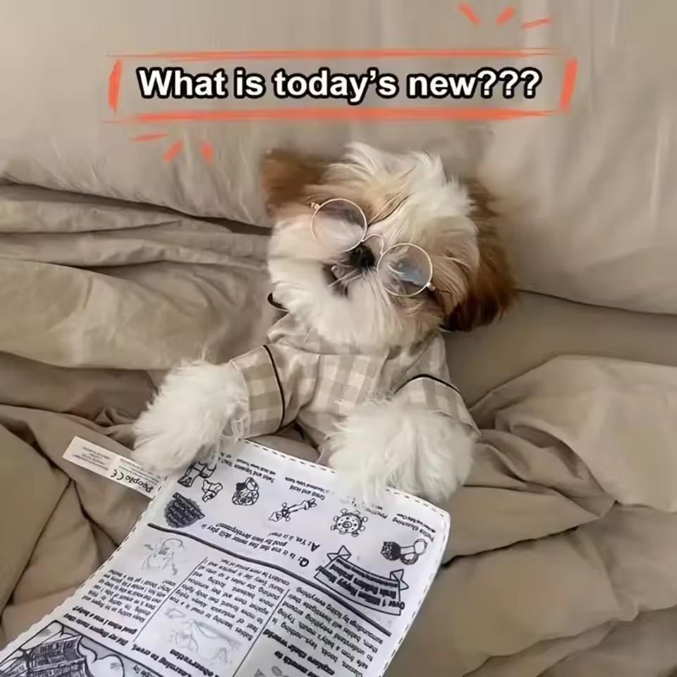 Bite-resistant Newspaper Dog Toys Funny Squeaky Sounder Sounding Paper Small Medium Chew Dog Toys Frenchbull Easy Clean Puppy