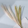 Fake Reed Grass Long-lasting Fade-resistant Realistic Artificial Pampas Grass for Home Wedding