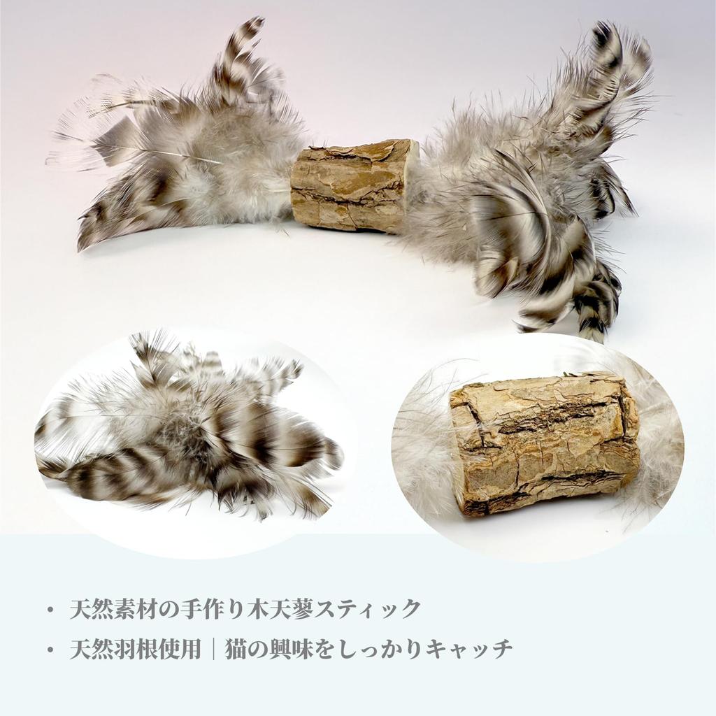 ZAYLUMO 3dílná sada hraček pro kočky – plyšová hračka s catnipem a catnipová tyčinka s peříčky pro kočky žijící v bytě, ke kousání a kopání, pro úlevu od stresu a cvičení