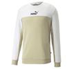 Men’s Sweatshirt Without Hood Puma ESS+ Block Crew White