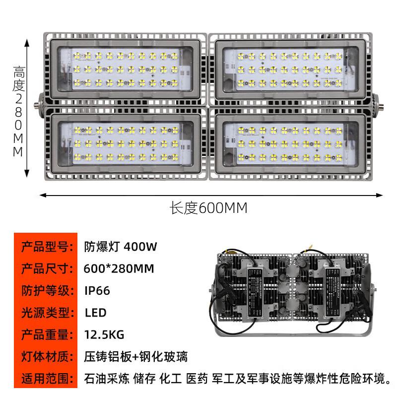 Xingpuhui LED Explosion-Proof Workshop Light