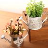 Vintage Flower Pot Succulent Planter Metal Plant Bucket Vertical Garden Decor