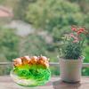 Cute Planter Pig Pot for Plant Indoor Succulent Planters Home Office Flower Decorations Cute Animals European Style
