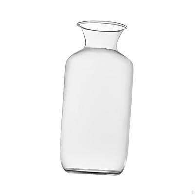 Elegant Glass Vase for Plant Propagation And Floral Display