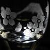 [Official Taiburo Studio] Edo Kiriko Mt. Fuji and Cherry Blossom Chilled Sake Glass TB0050-33, Paper Boxed, Made in Japan