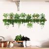 Dill Leaves Hanging Basket Sticker Waterproof Stump Potted Plant Decorative Decals  Livingroom