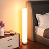 Vertical Floor Lamp with Ins Style Living Room Sofa, Plug-in Ambient Light, Nordic Minimalist Remote Control Bedside Lamp