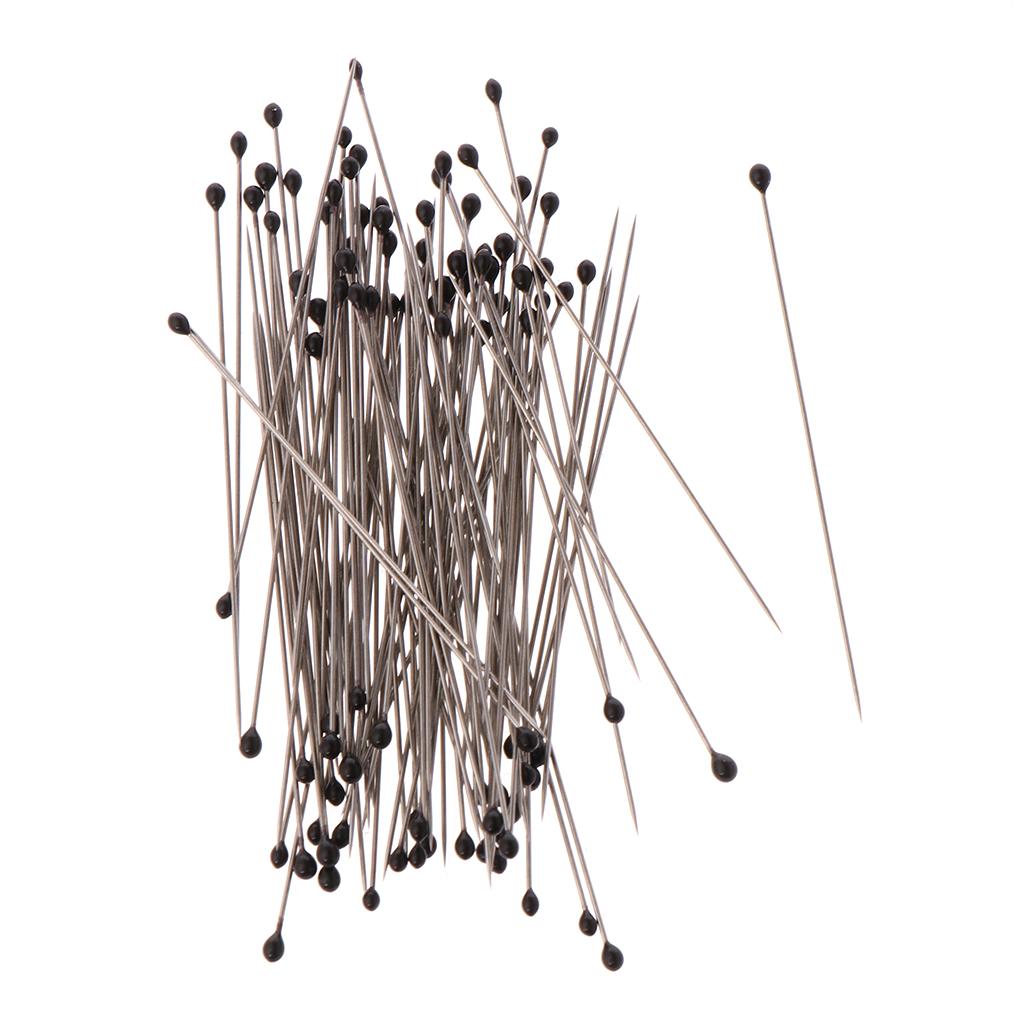 Dissection and for Butterfly Collections Needle Stainless Steel 100 Pcs Specimen Pins for School Lab Entomology Dissecti