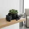 3D Printed Dragon Shaped Plant Pot Plastic Funny Flower Container Handmade Growing Pots Jewelry Storage Tray for Home Decoration