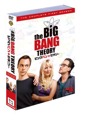 The Big Bang Theory Season 1, Part 1 (Episodes 1-17, 4-disc Set) [DVD]