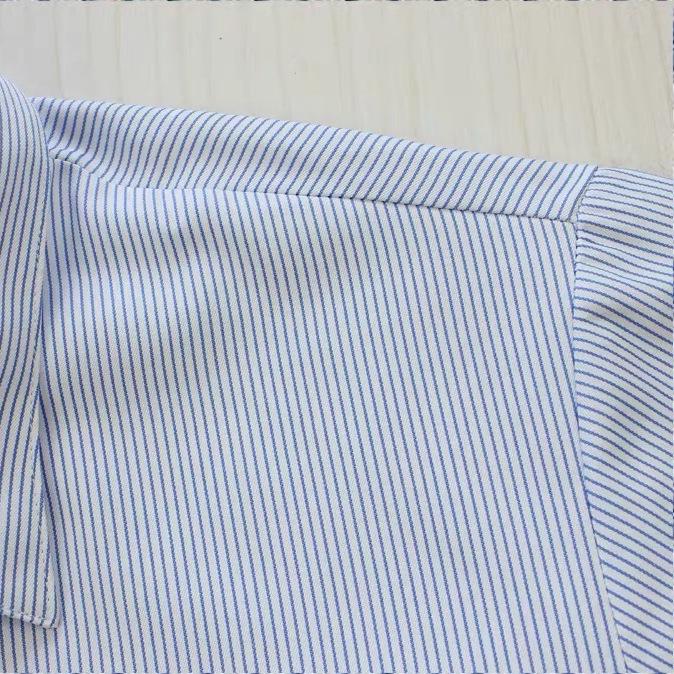 Women's Plus Size Blue Striped Formal Work Shirt - Hidden Button Design